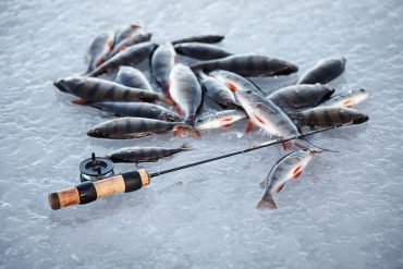 Catch the Thrill of Ice Fishing in the UK's Frozen Lakes